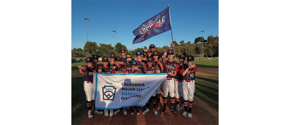 Majors D-28 All Star Champions