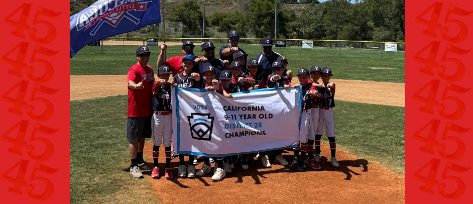 11u D-28 All-Star Champions