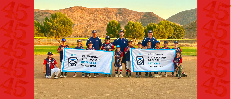 10u 2025 D28 & Section 9 Champions